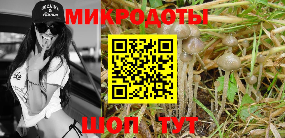 Галлюциногенные грибы прущие грибы  Вход с VPN  Ялуторовск 
