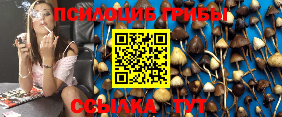 Галлюциногенные грибы прущие грибы Ялуторовск